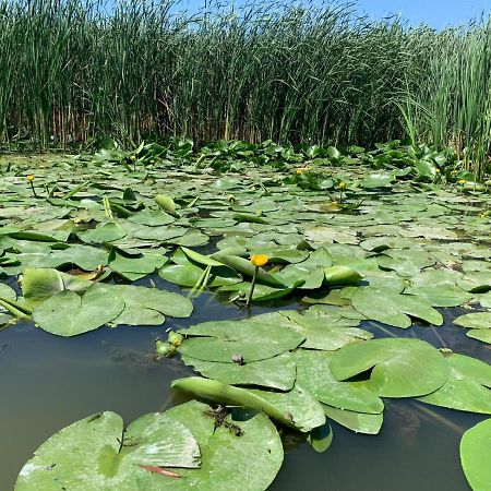 Gorgova Delta Village Eksteriør bilde