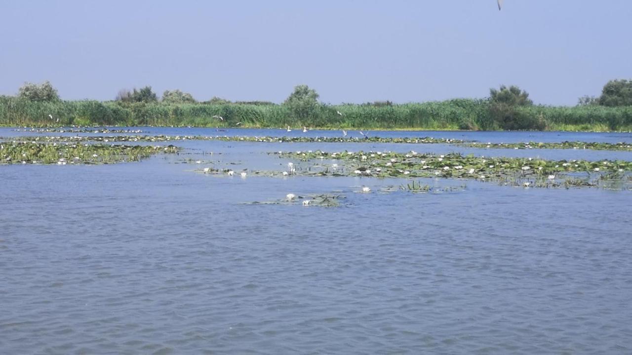Gorgova Delta Village Eksteriør bilde
