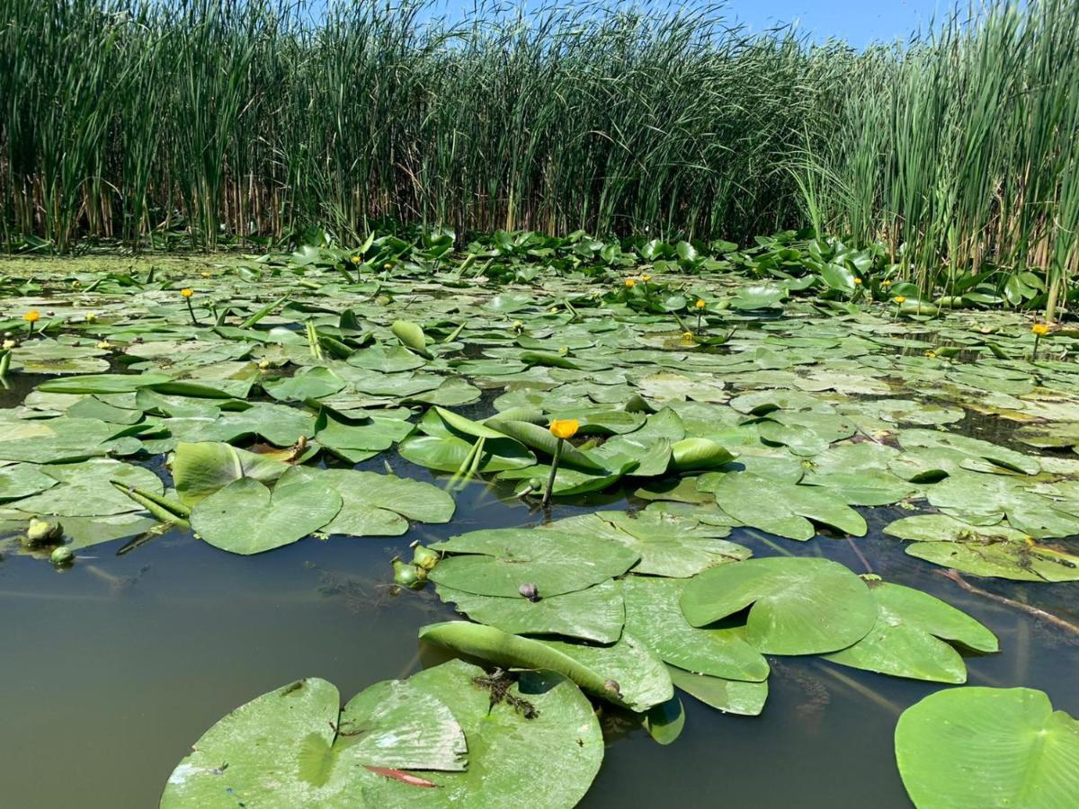 Gorgova Delta Village Eksteriør bilde